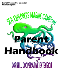 Sea Explorers Babylon Handbook 2021 Updated COVID