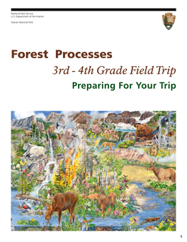 Forest Processes 3Rd - 4Th Grade Field Trip Preparing for Your Trip