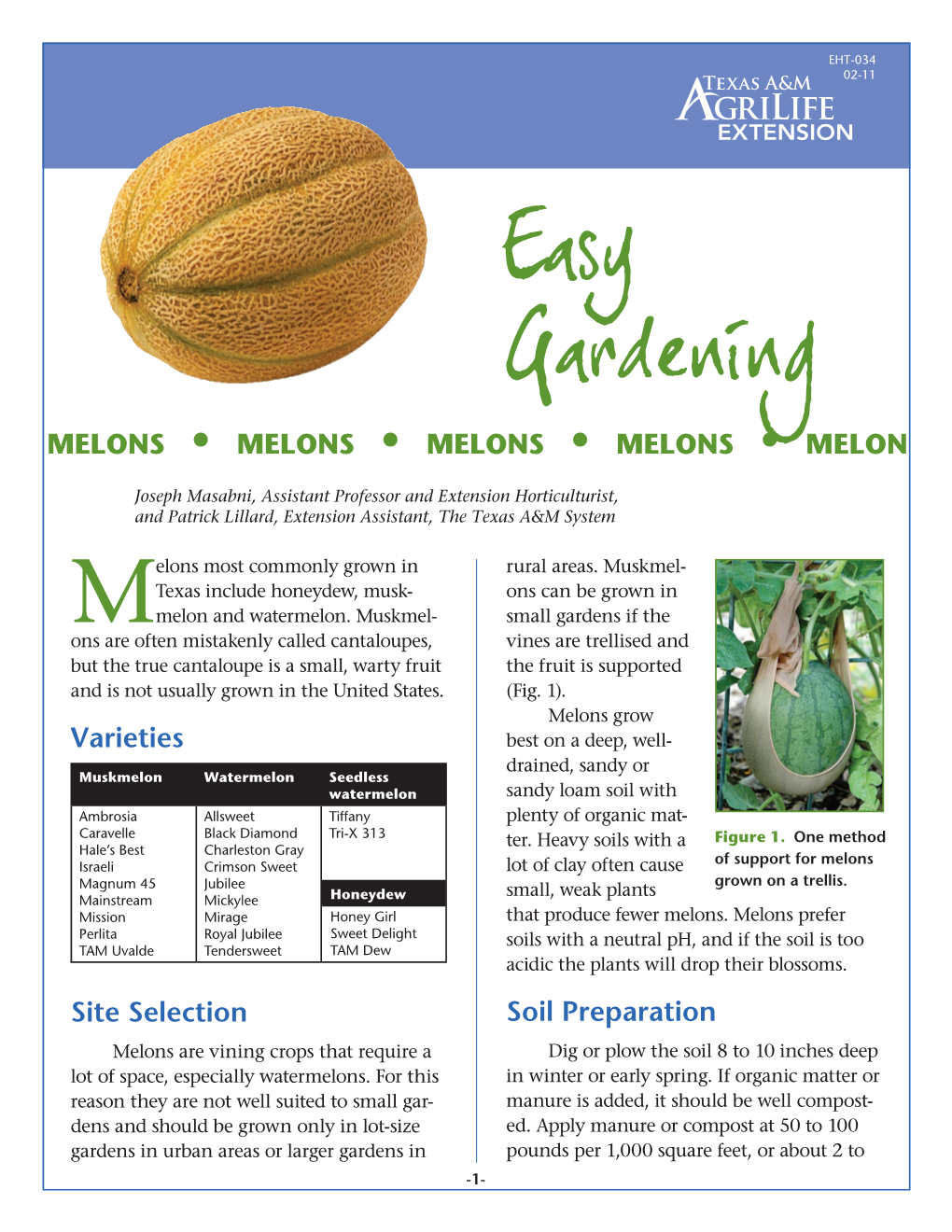 Honeydew Melons When the Skin Begins to Turn Yellow and the End of the Fruit Opposite the Stem (Blossom End) Be- Gins to Soften