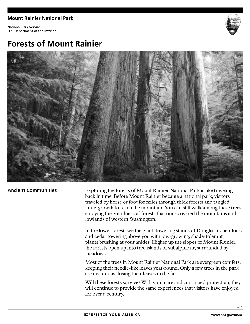 Forests of Mount Rainier