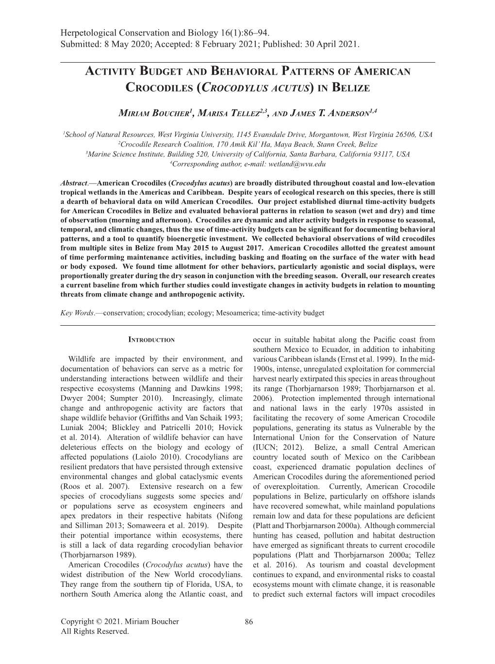 Activity Budget and Behavioral Patterns of American Crocodiles (Crocodylus Acutus) in Belize