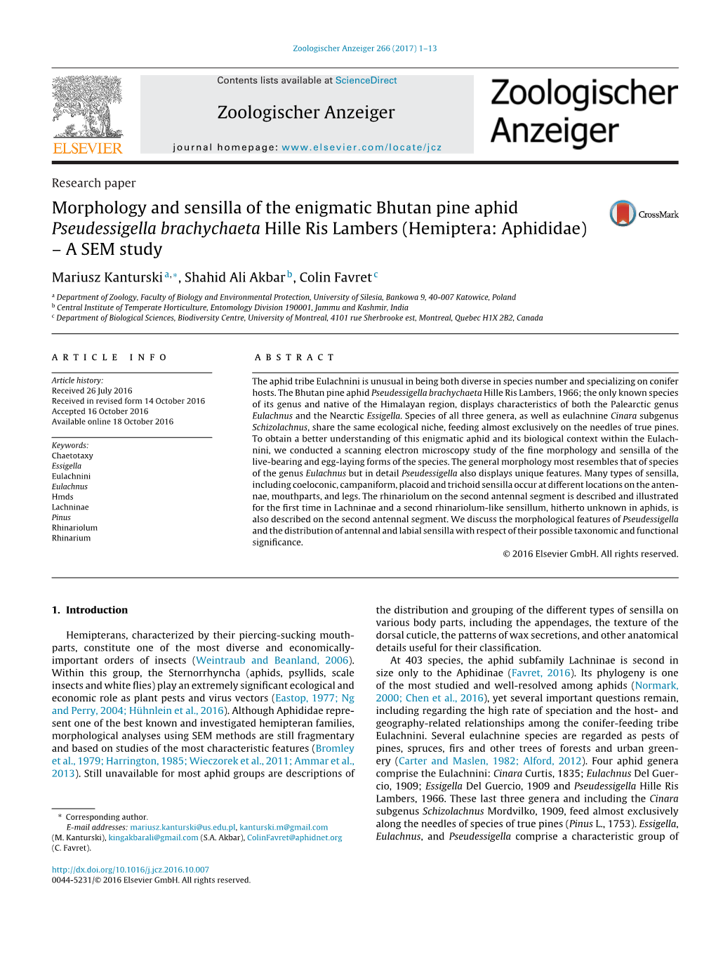 Morphology and Sensilla of the Enigmatic Bhutan Pine Aphid Pseudessigella Brachychaeta Hille Ris Lambers (Hemiptera: Aphididae)