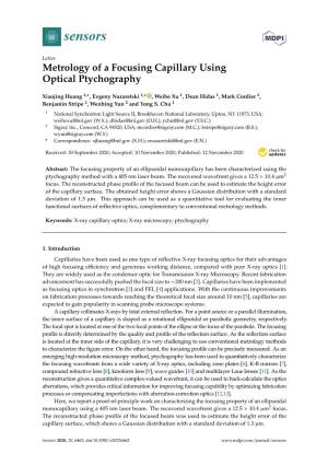 Metrology of a Focusing Capillary Using Optical Ptychography