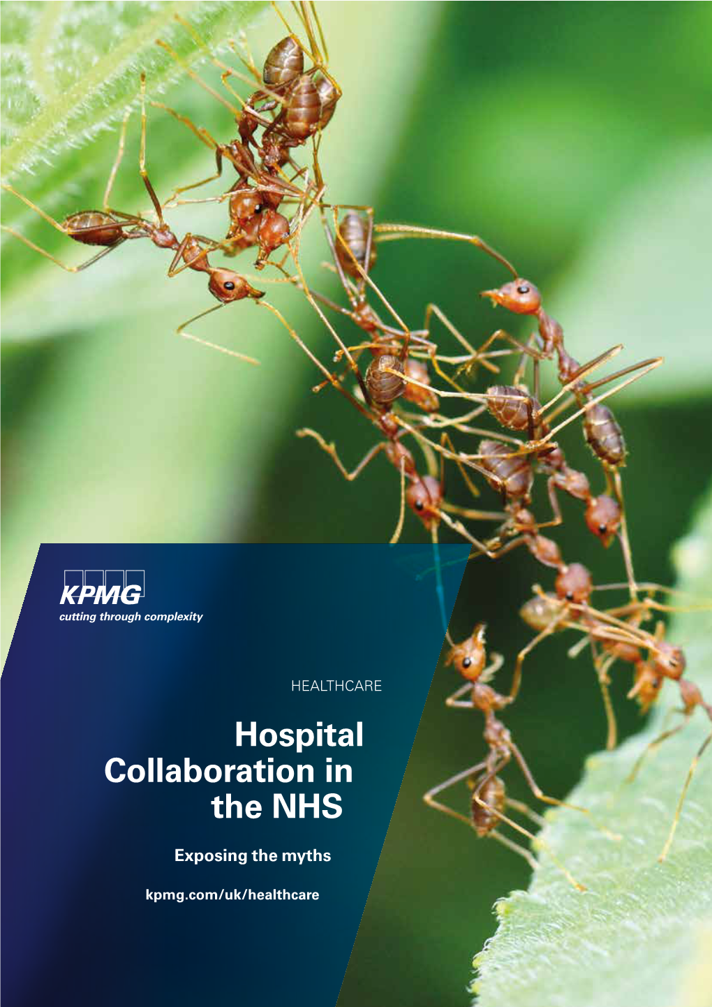 Hospital Collaboration in the NHS Exposing the Myths