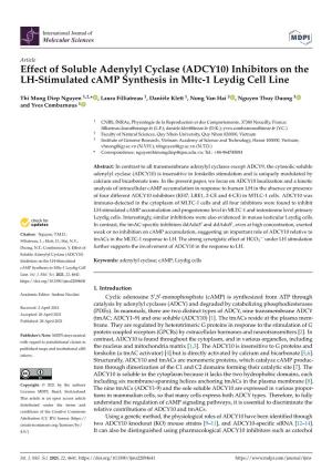 Effect of Soluble Adenylyl Cyclase (ADCY10) Inhibitors on the LH-Stimulated Camp Synthesis in Mltc-1 Leydig Cell Line