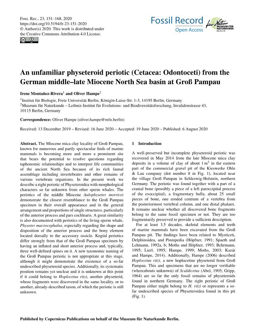 An Unfamiliar Physeteroid Periotic (Cetacea: Odontoceti) from the German Middle–Late Miocene North Sea Basin at Groß Pampau