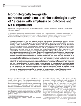 Morphologically Low-Grade Spiradenocarcinoma: A