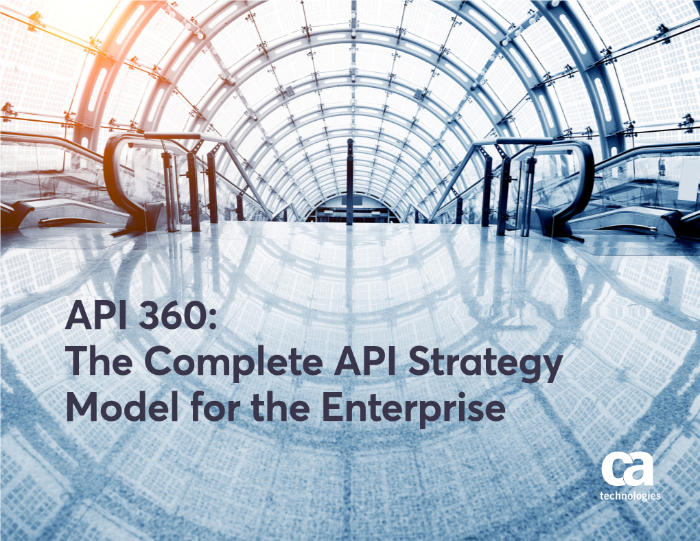 API360: the Complete API Strategy Model for the Enterprise