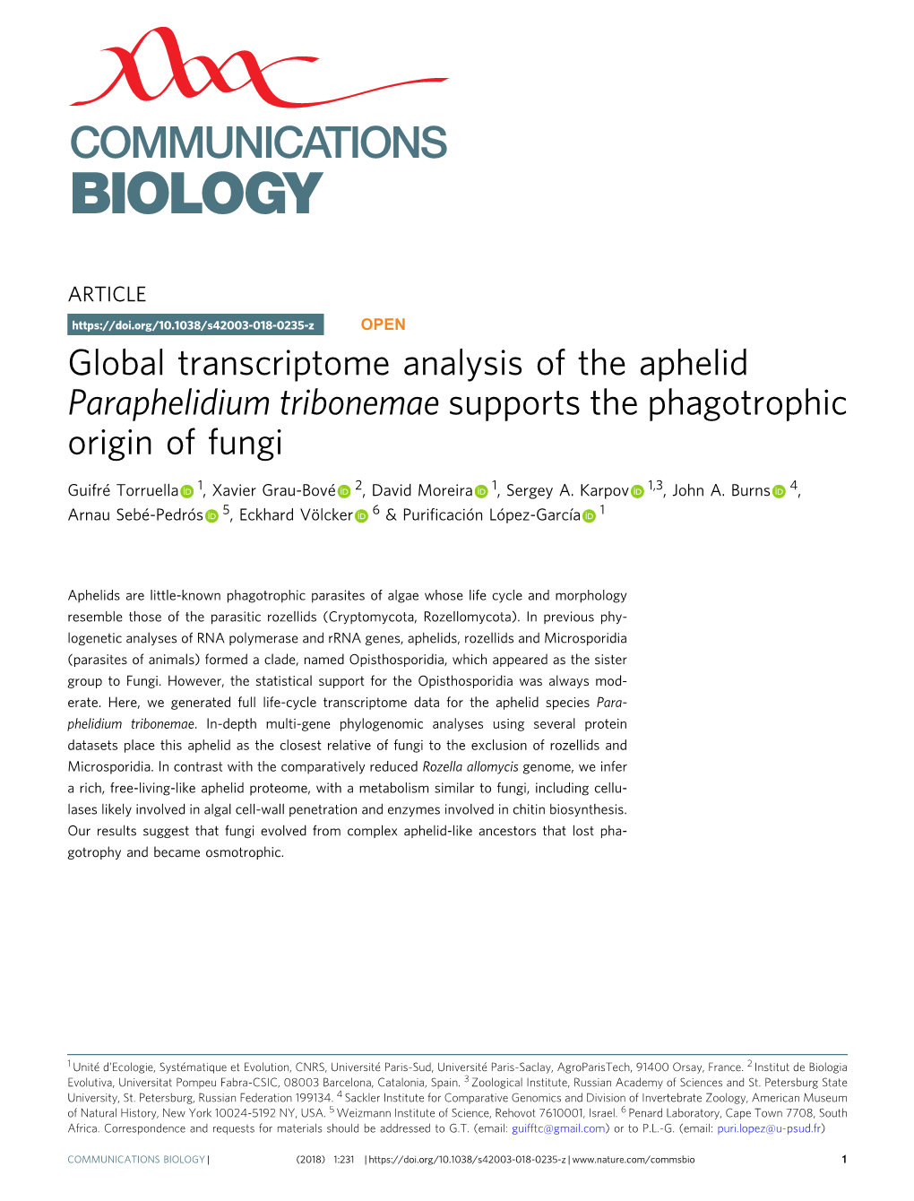 Global Transcriptome Analysis of the Aphelid Paraphelidium Tribonemae Supports the Phagotrophic Origin of Fungi
