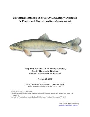 Mountain Sucker (Catostomus Platyrhynchus): a Technical Conservation Assessment