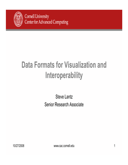 Data Formats for Visualization and I T Bilit Interoperability