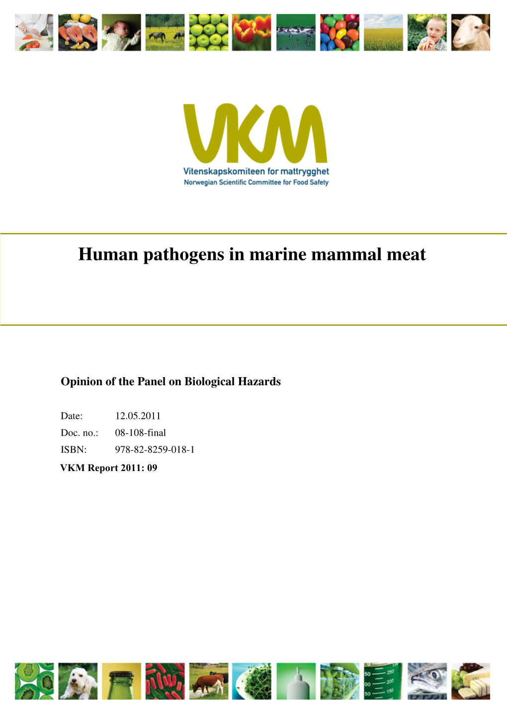 Human Pathogens in Marine Mammal Meat