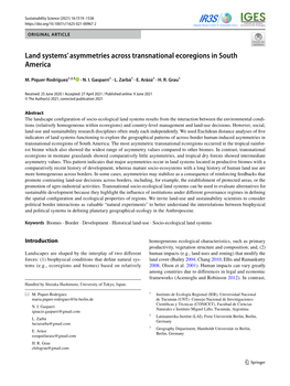 Land Systems' Asymmetries Across Transnational Ecoregions in South America