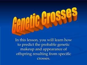 In This Lesson, You Will Learn How to Predict the Probable Genetic Makeup and Appearance of Offspring Resulting from Specific Cr