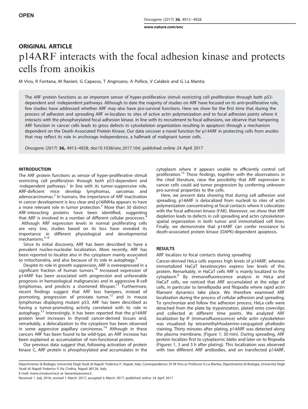 P14arf Interacts with the Focal Adhesion Kinase and Protects Cells from Anoikis