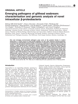 Emerging Pathogens of Gilthead Seabream: Characterisation and Genomic Analysis of Novel Intracellular Β-Proteobacteria