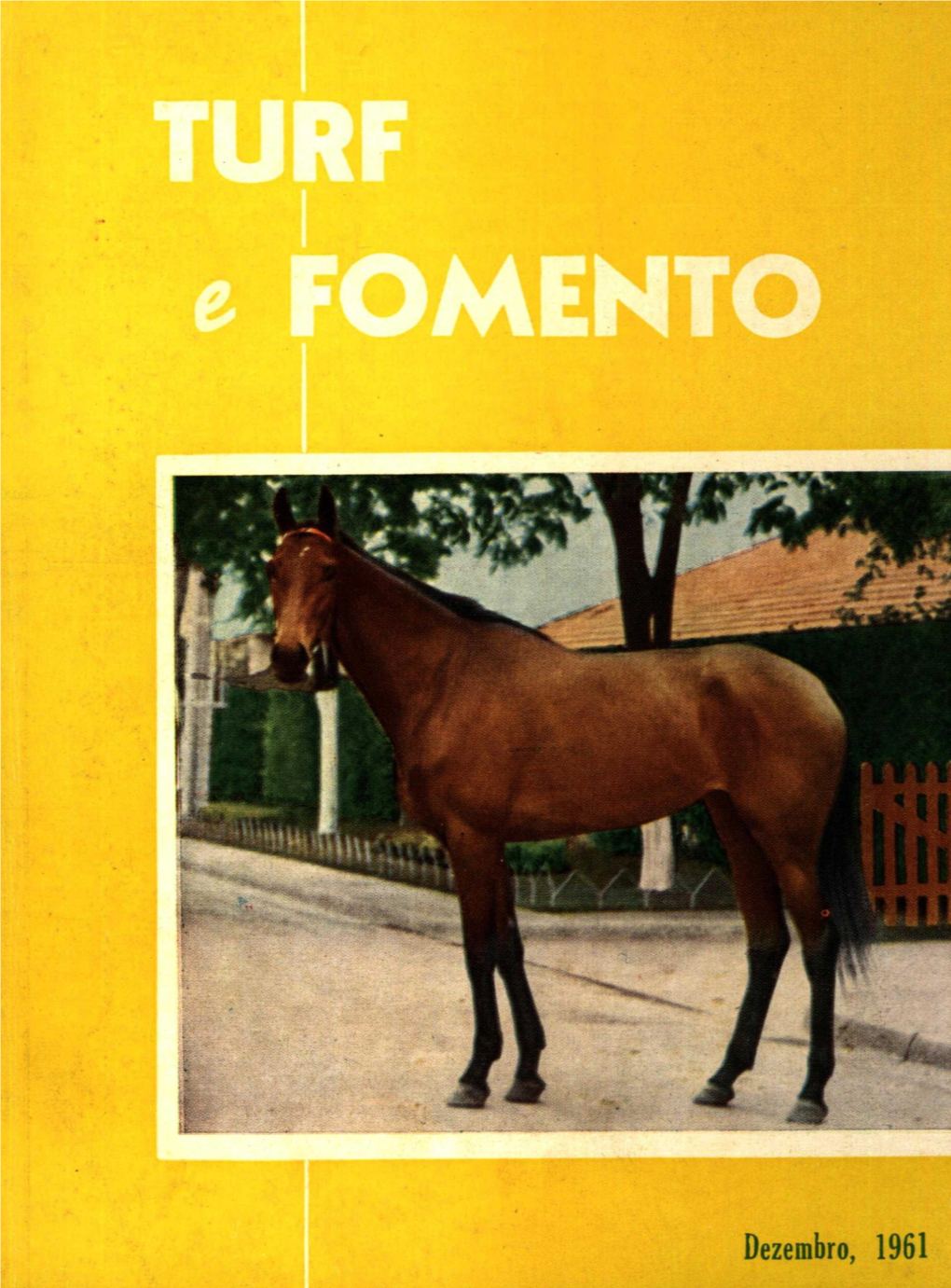 Dezembro, 1961 TURF