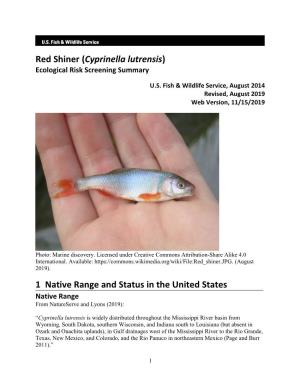 Red Shiner (Cyprinella Lutrensis).”