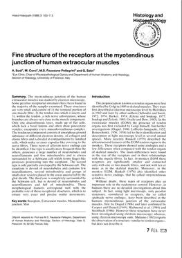 Fine Structure of the Receptors at the Myotendinous Junction of Human Extraocular Muscles