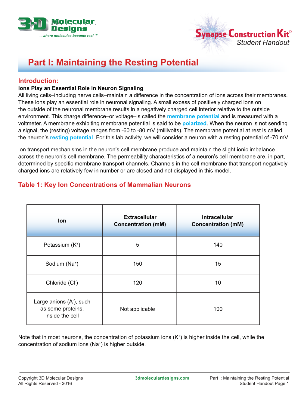 Part I: Maintaining the Resting Potential
