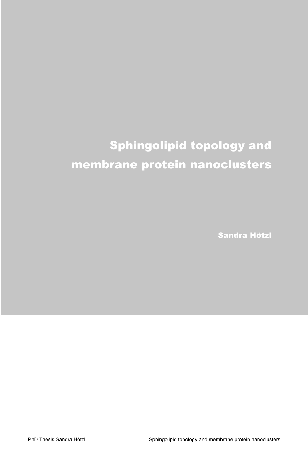 Sphingolipid Topology and Membrane Protein Nanoclusters