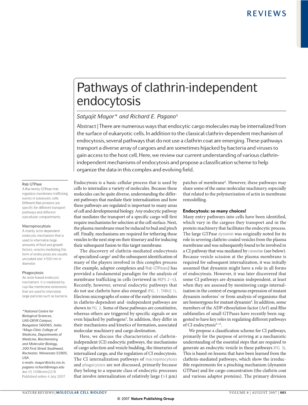 Pathways of Clathrin-Independent Endocytosis