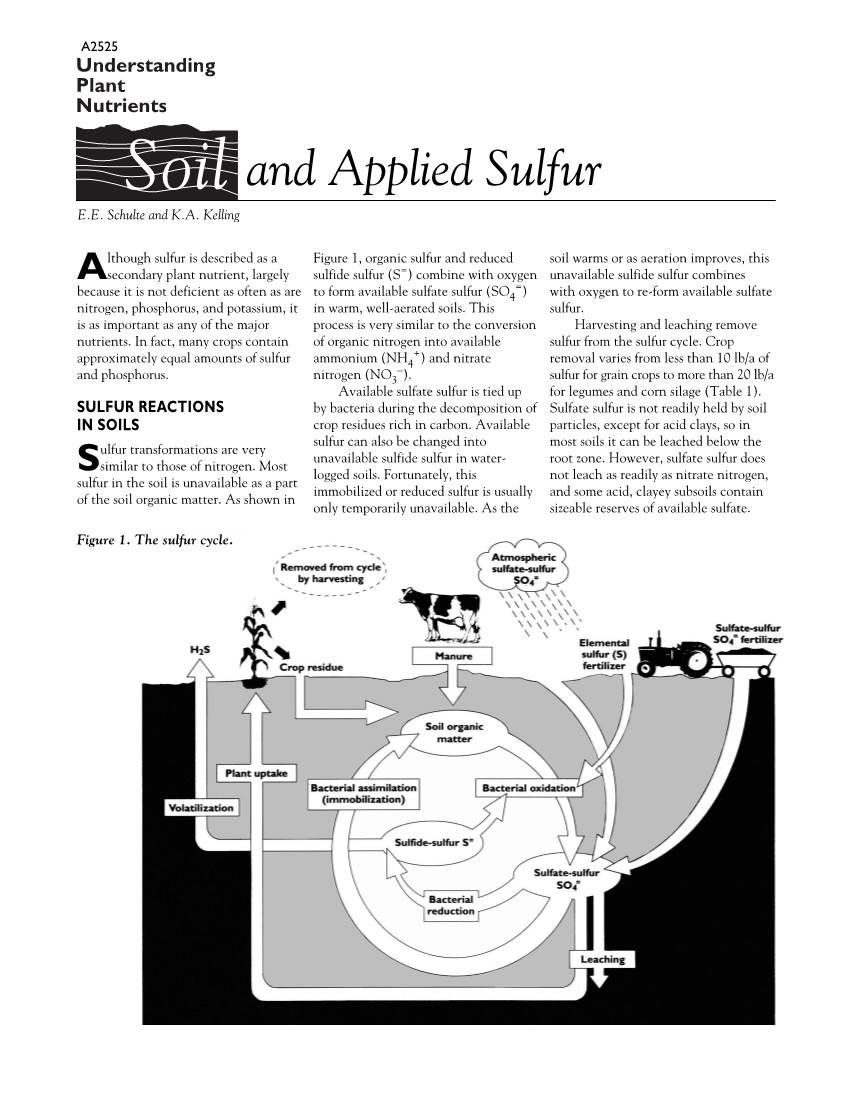 Soil and Applied Sulfur (A2525) Soil and Applied Zinc (A2528)
