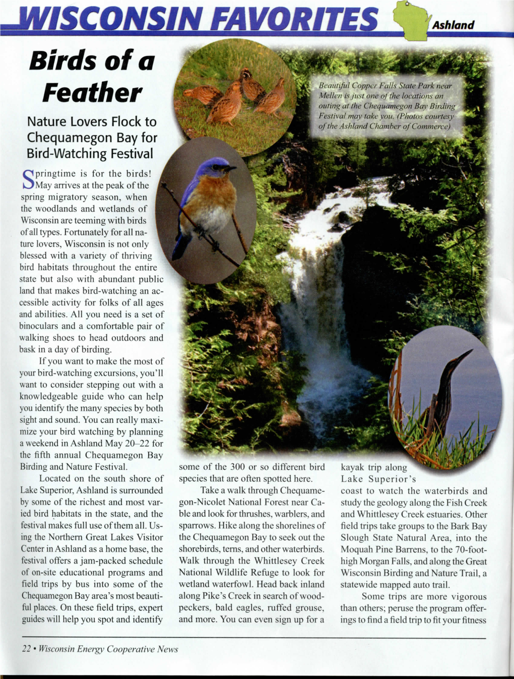 WI Energy Magazine Article on Birding the the Chequamegon