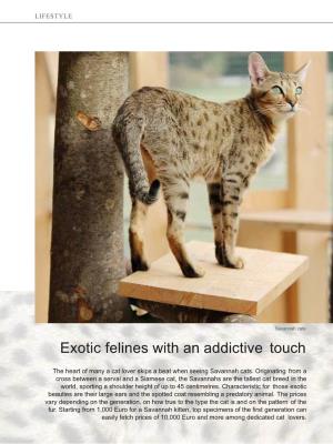 Exotic Felines with an Addictive Touch