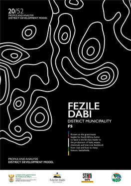 Fezile Dabi District Municipality Is a Category C Municipality, Established in the Year 2000