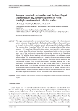 Resurgent Dome Faults in the Offshore of the Campi Flegrei Caldera (Pozzuoli Bay, Campania): Preliminary Results from High-Resolution Seismic Reflection Profiles