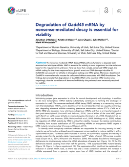 Degradation of Gadd45 Mrna by Nonsense-Mediated Decay Is