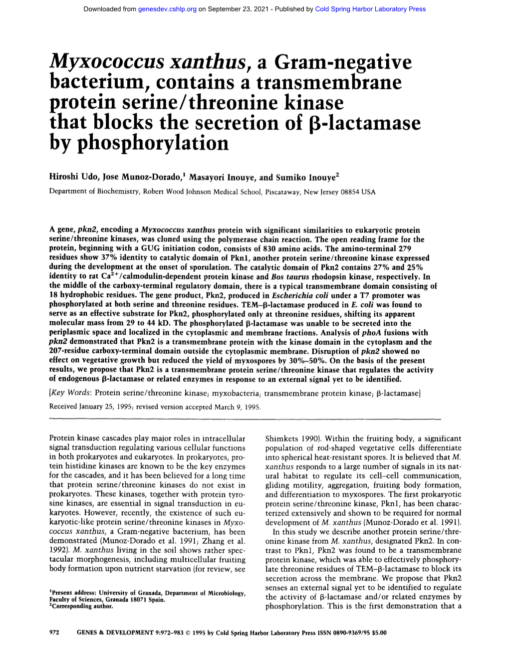 Myxococcus Xanthus, a Gram-Negative Bacterium, Contains a Transmembrane Protein Serine/Threon!Ne Kinase That Blocks the Secrenon of [ -Lactamase by Phosphorylation