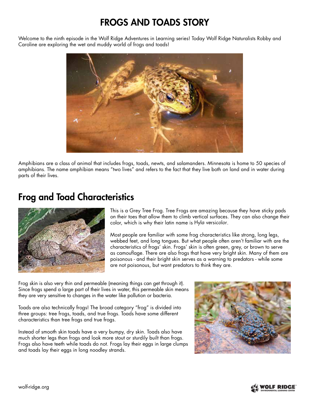 Frogs and Toads Story