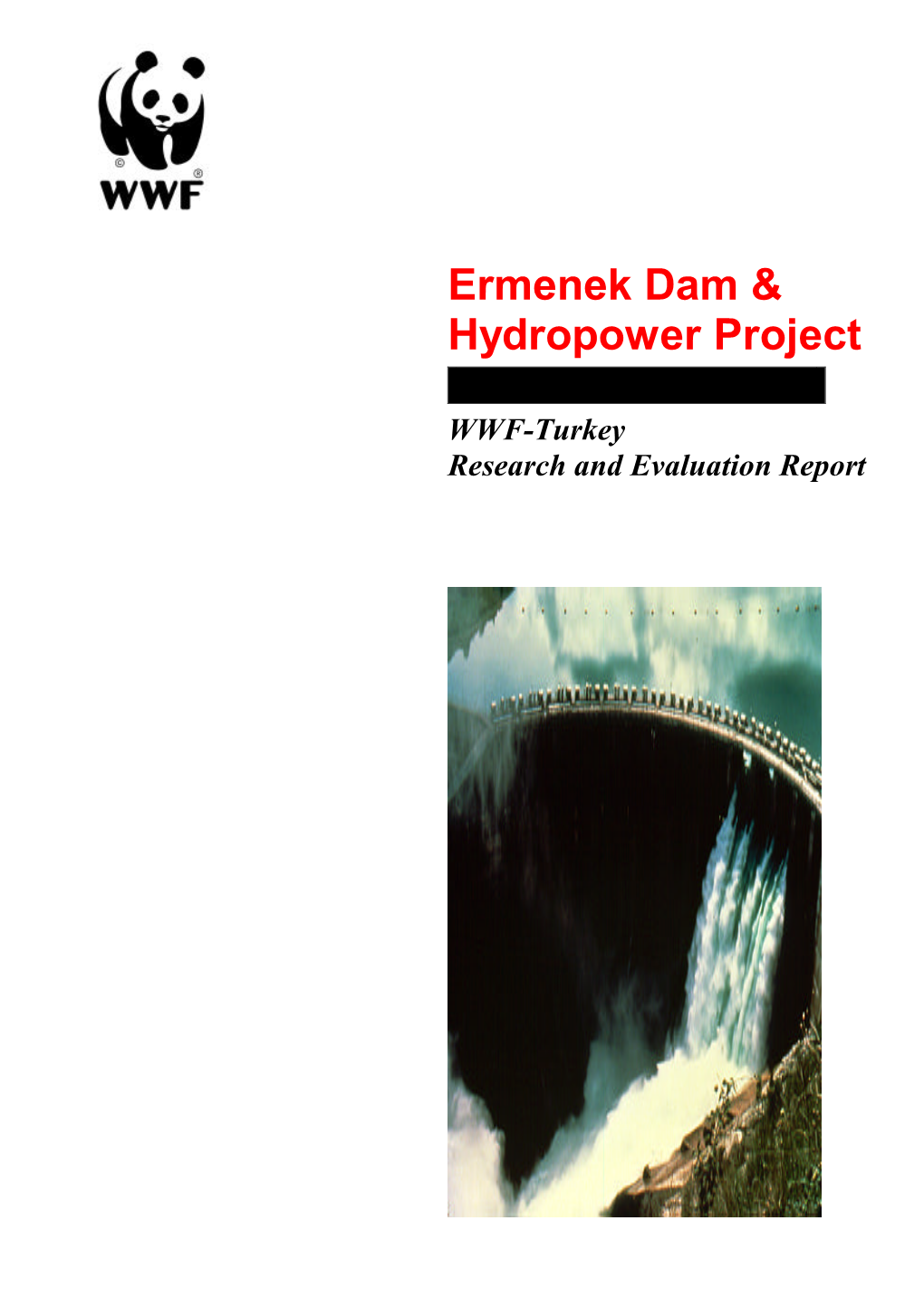 Ermenek Dam & Hydropower Project