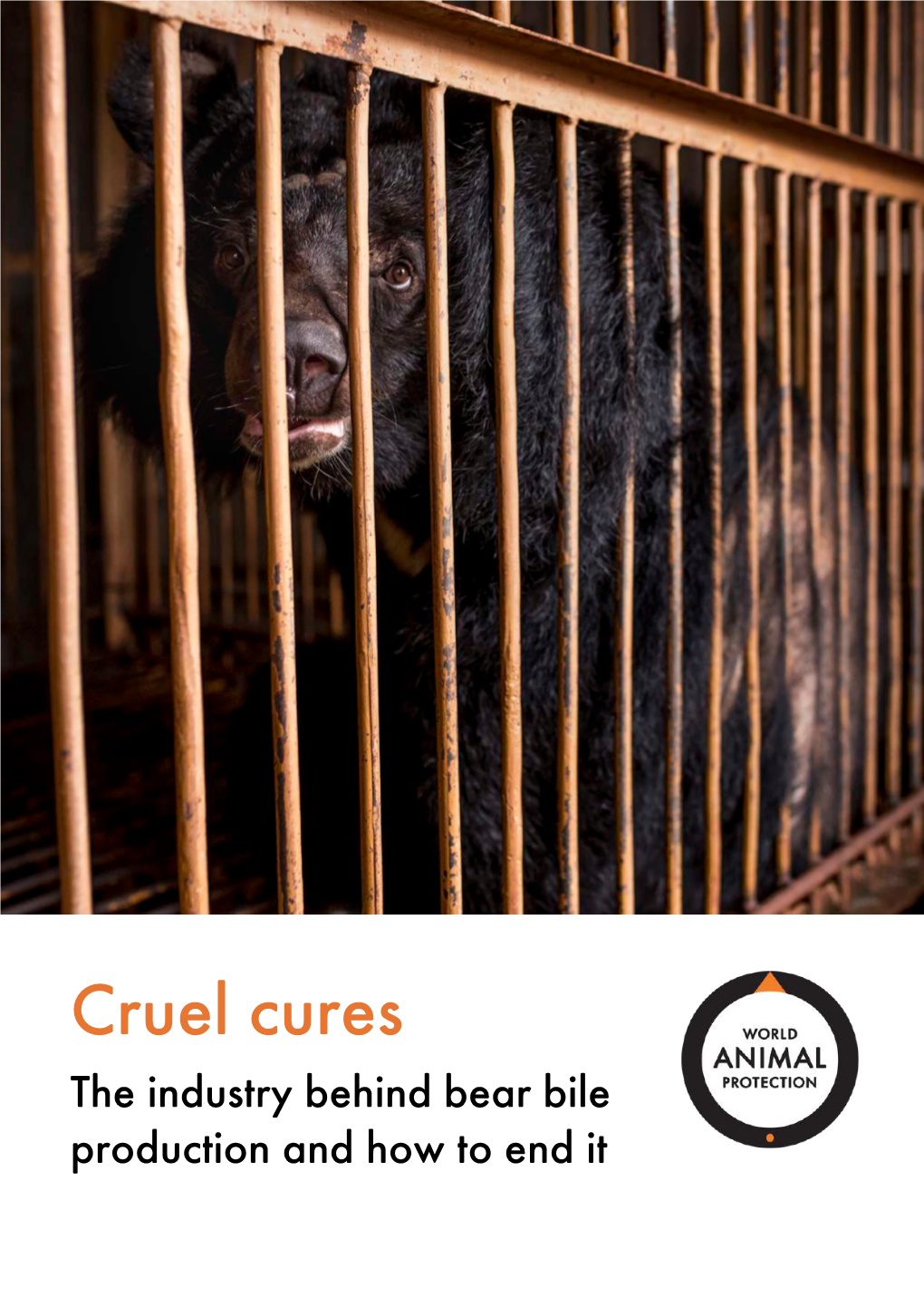 Cruel Cures the Industry Behind Bear Bile Production and How to End It Contents