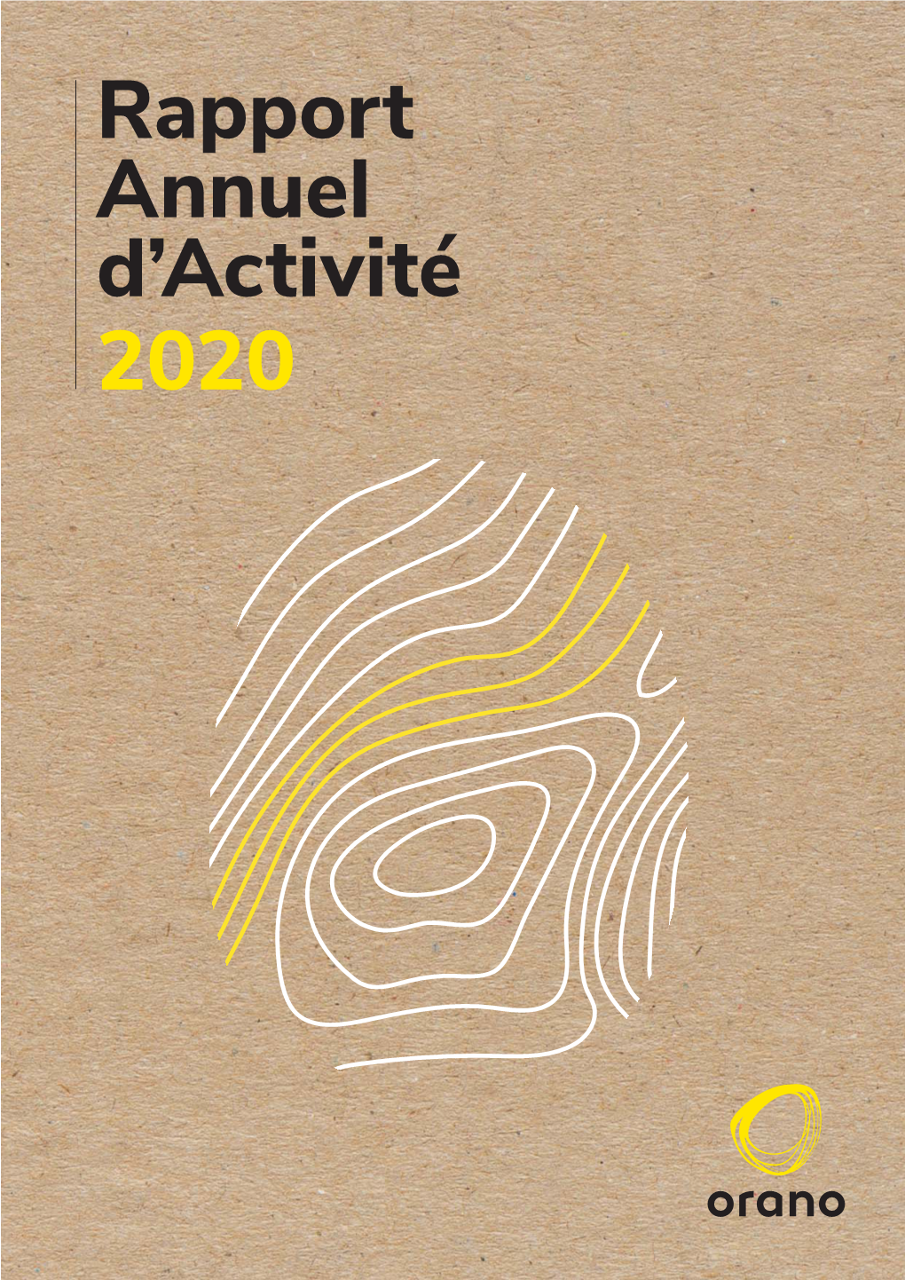Rapport Annuel D'activité 2020 Orano