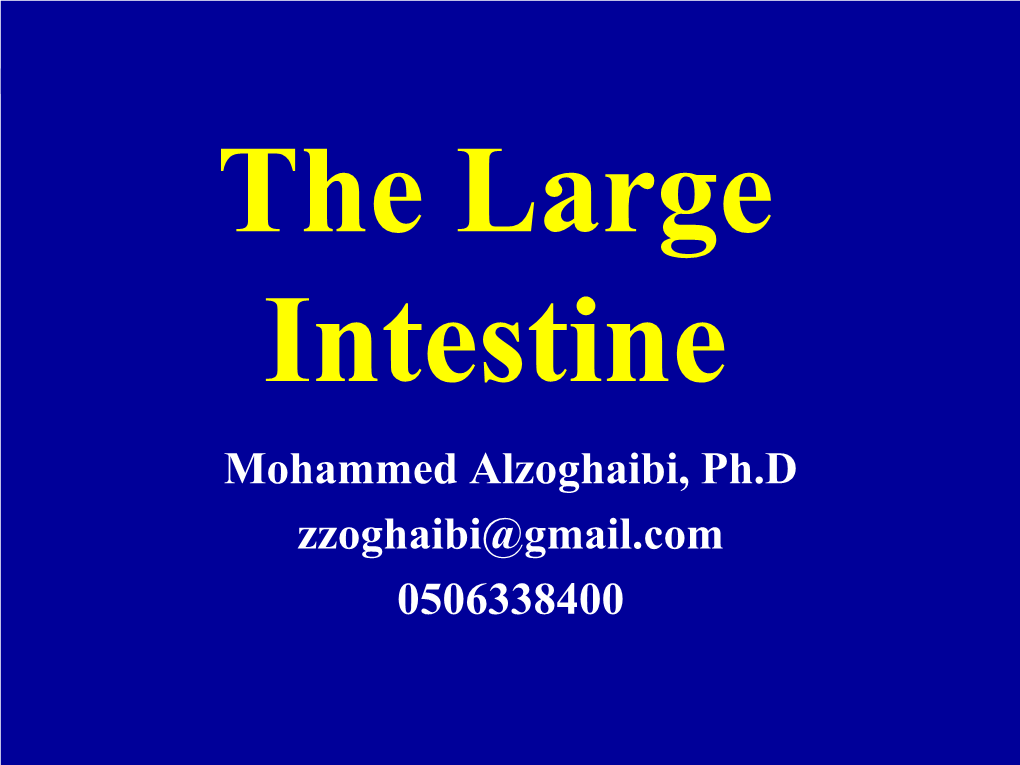 The Large Intestine