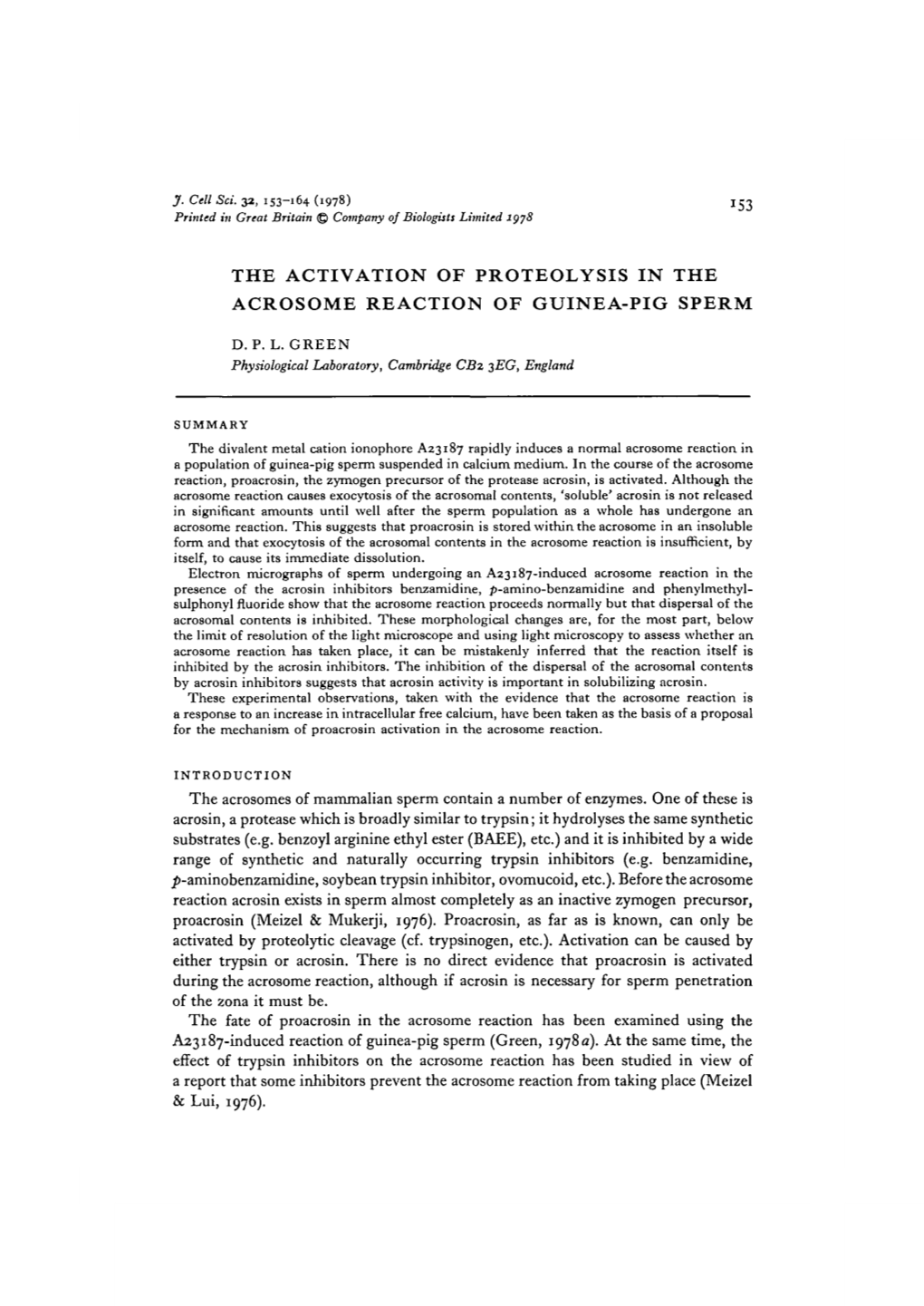 The Activation of Proteolysis in the Acrosome Reaction of Guinea-Pig Sperm