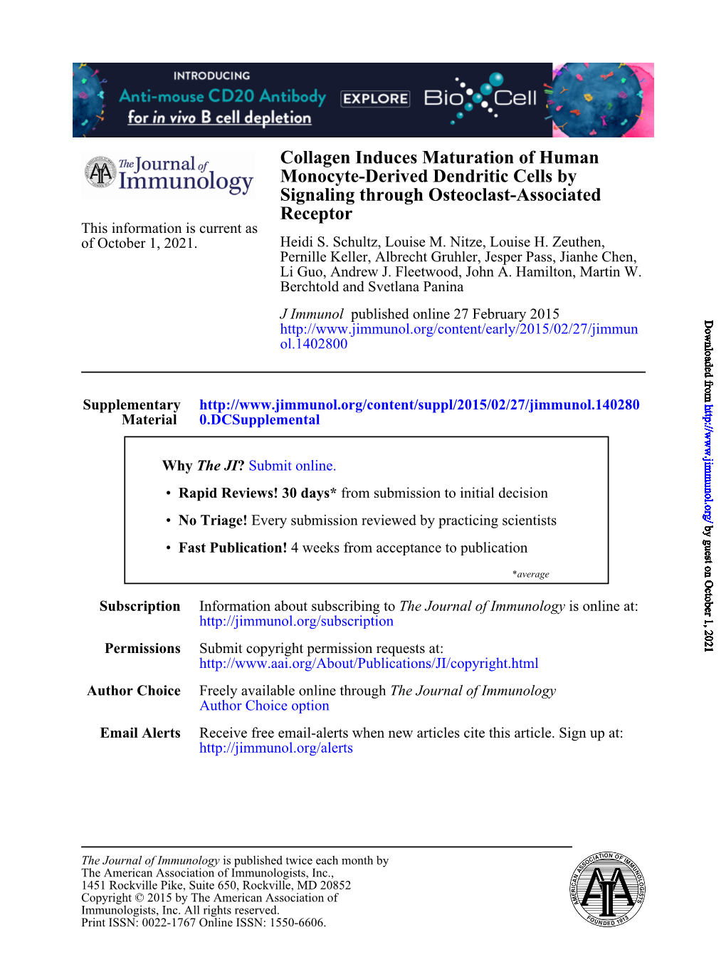 Receptor Signaling Through Osteoclast-Associated Monocyte