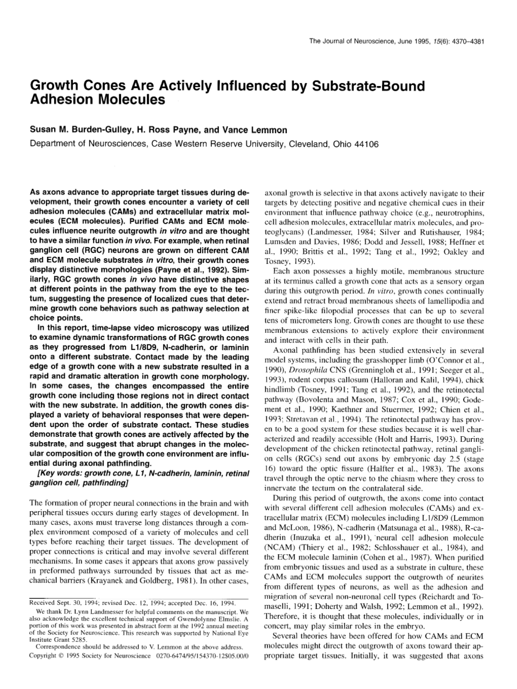 Growth Cones Are Actively Influenced by Substrate-Bound Adhesion Molecules