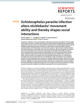 Schistocephalus Parasite Infection Alters Sticklebacks' Movement