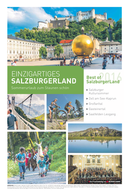 Einzigartiges Salzburgerland