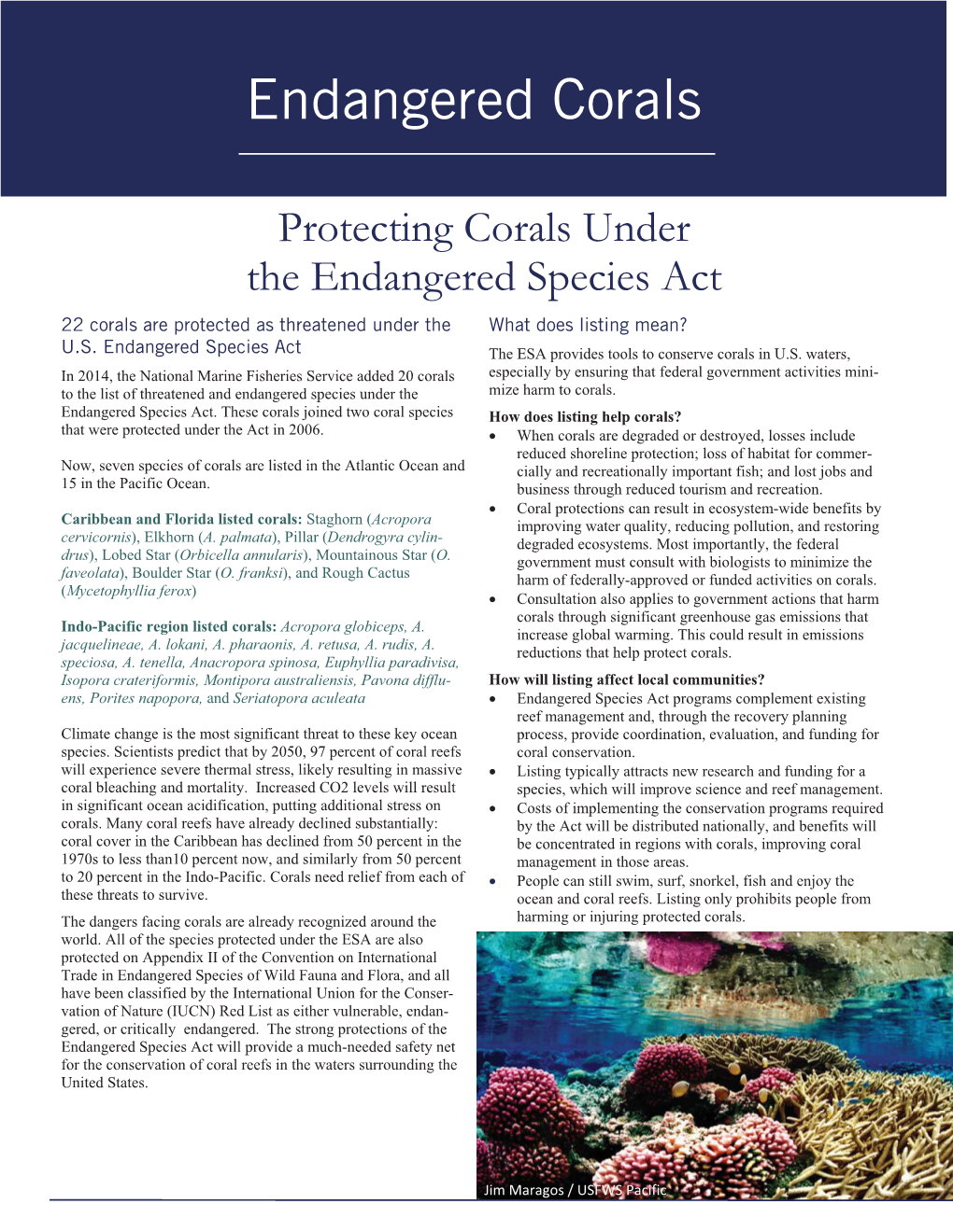 Fact Sheet Coral ESA Listing 2014
