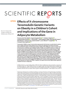 Effects of X-Chromosome Tenomodulin Genetic Variants On