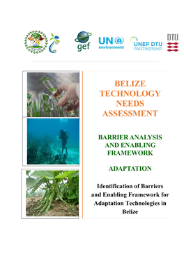 Belize Technology Needs Assessment