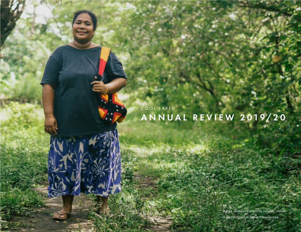 Annual Review 2019/20