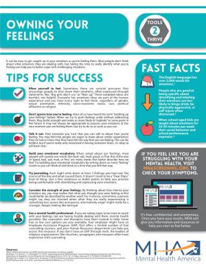 OWNING YOUR FEELINGS Tips for Success