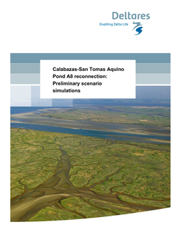 Calabazas-San Tomas Aquino Pond A8 Reconnection: Preliminary Scenario Simulations