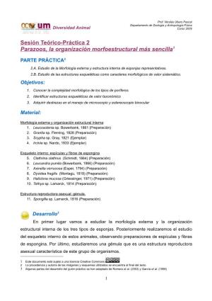 Sesión Teórico-Práctica 2 Parazoos, La Organización Morfoestructural Más Sencilla1